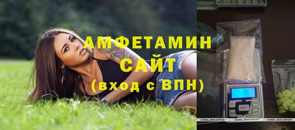 ECSTASY Богданович