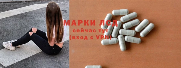 ECSTASY Богданович