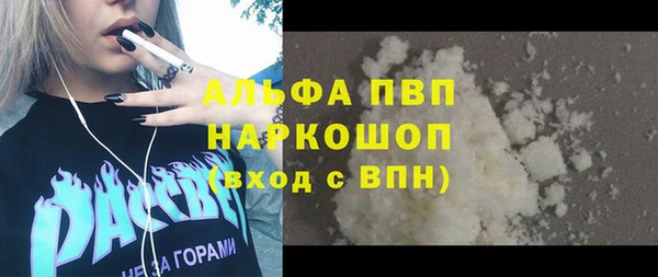 ECSTASY Богданович