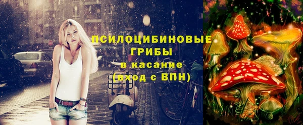 а пвп мука Богородск