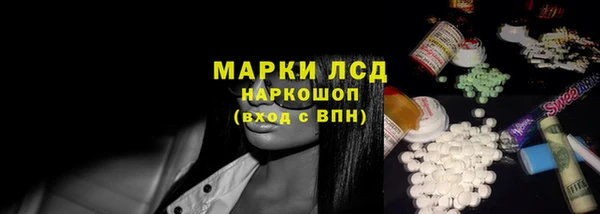 ECSTASY Богданович