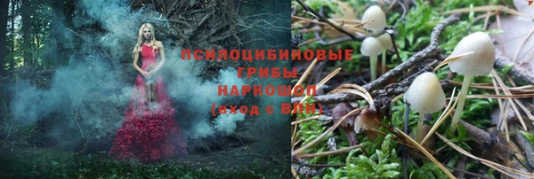 героин Богородицк