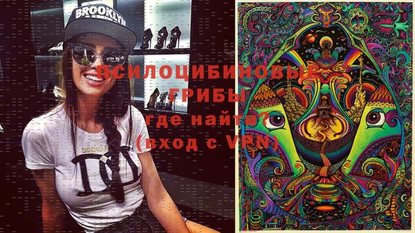 mdpv Белокуриха