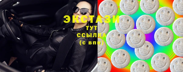 ECSTASY Богданович