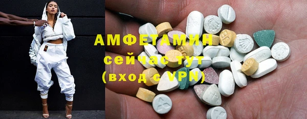 ECSTASY Богданович