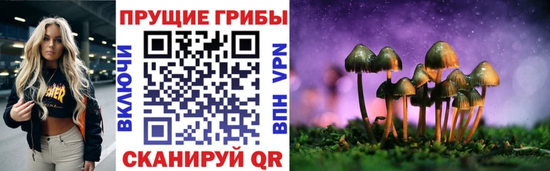 Псилоцибиновые грибы MAGIC MUSHROOMS  где можно купить наркотик  Кохма 