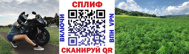 МАРИХУАНА план Кохма